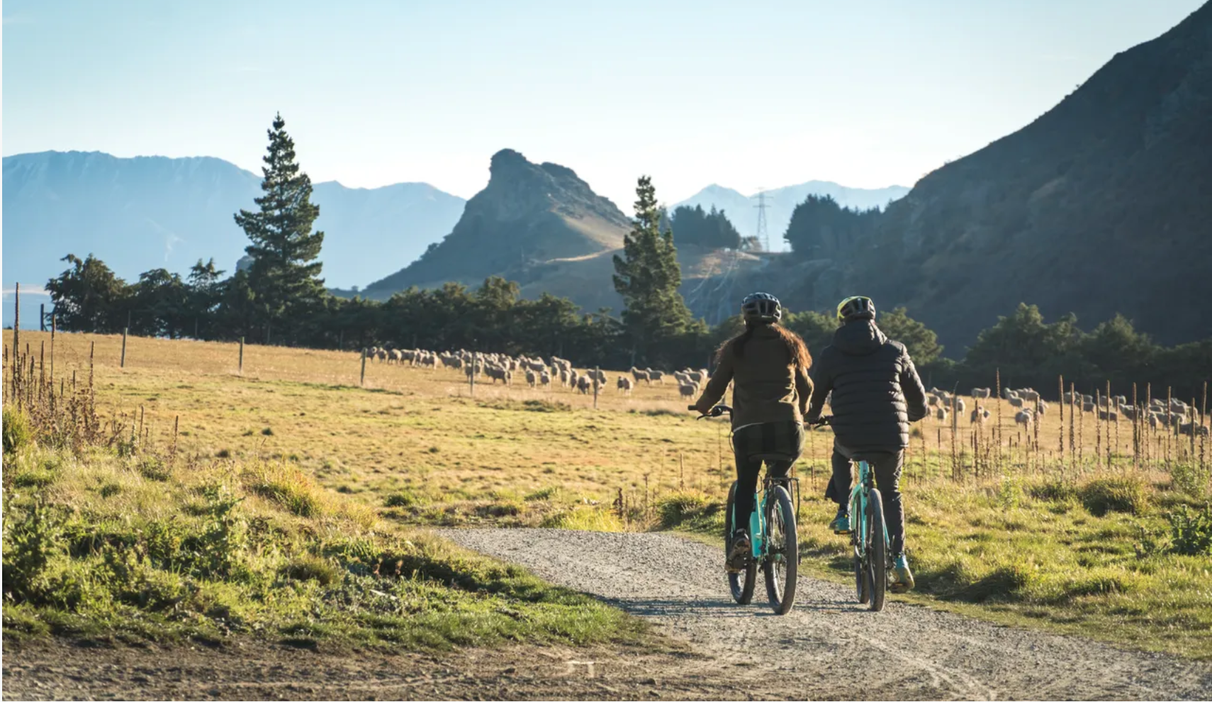 Gibbston Valley E-Bike Wine Tour