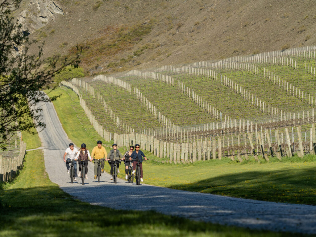 Winery E-Bike Ride