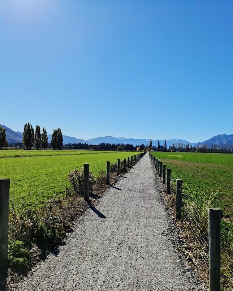 Otago Rail Trail